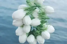 你心里的坟，安息着温暖的灵魂图片