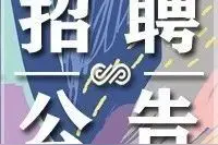 招人~大理州接待处现面向社会公开选聘驾驶员2名图片