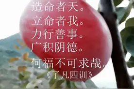 回忆起90年代小时候混乱和甜美的日子图片