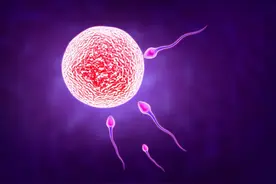 为什么男人每次排出2亿枚精子，而女人每次只排出一枚卵细胞？图片