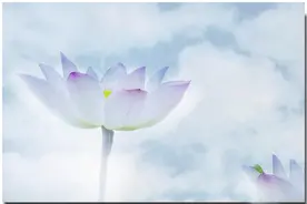 庄子：悟是自己的，到一定境界，就不再辩论，沉默是金图片