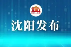市规划院：用高质量规划推动幸福沈阳建设图片