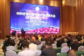2020年度中国苹果产业榜样100品牌 绿杰高居榜首图片
