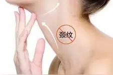 6个小窍门，赶走脖子上的皱纹图片