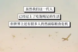 世界粮食日 | 中国人吃饱吃好图鉴图片