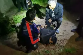 四川一嫌疑人从看守所逃脱，抓捕细节披露！图片