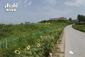 为日本人点个赞图片