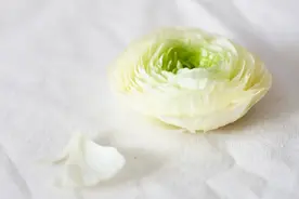 缘分尽了，要学会体面退出图片