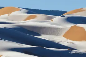 撒哈拉沙漠下大雪了！沙漠被冻，骆驼发抖，这个星球究竟怎么了？图片
