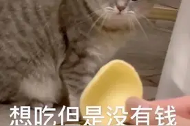 暗恋的男生抢先跟我表白？淦，柠檬不甜不要钱图片