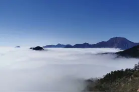 疫情当前，姑娘你在哪里~图片