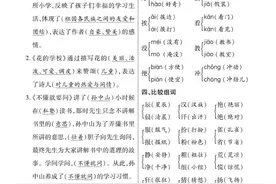 三年级语文上册全册知识点图片