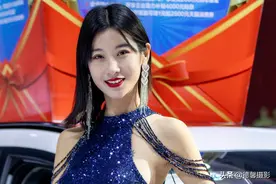 石家庄第八届国际汽车博览会图片