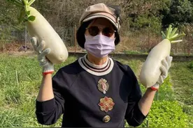 73岁汪明荃太壕，穿上千名牌鞋下地拔萝卜，打扮接地气像农妇图片