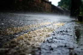 下雨天，为什么都喜欢睡觉？图片