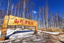 我的呼中游记——高高的兴安岭，不只有一片大森林图片