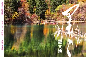 《星星·散文诗》2021年05期目录来了图片