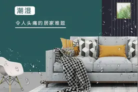 每年的潮湿季节有哪些？图片