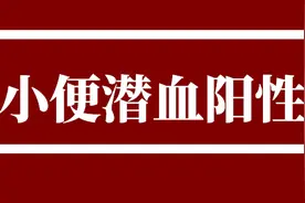 医案 | 小便潜血阳性，多方治疗乏效后，巧用猪苓泻心阳转阴图片