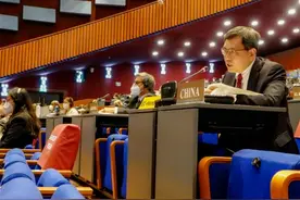 24年来首次！禁化武组织通过决议剥夺叙利亚权利，中方反对但无效图片