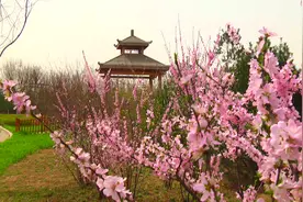 桃红柳绿又一年 满天春色最宜人图片