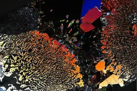 “地心世界”真实存在？科学家们发现地壳深处微生物生命图片