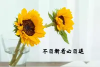 积水成渊丨理论法小测试，快来接招吧~图片