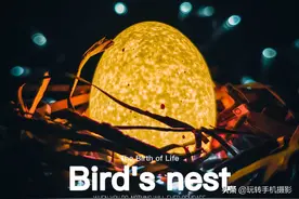 一枚鸡蛋如何拍出高级海报的感觉？图片