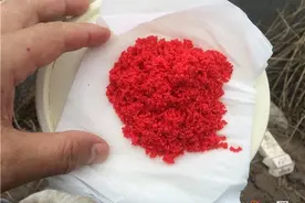 如何正确打窝？掌握四种根据性因素，运用三种打窝技巧鱼获少不了图片