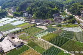 福州大山里，由两个逃难母子组建的村庄，老宅院住着20几户人家图片