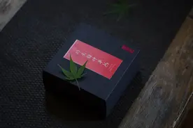岭头白叶单丛2020年 市场少见 独具花香蜜韵 值得品鉴的一款单丛图片