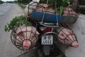 骑着单车去越南（27），越南乡村暗藏红灯区，这里的姑娘却帮了我图片
