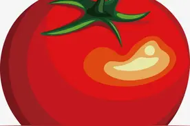 【金龟子讲睡前故事】青色的西红柿图片