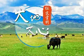 鱼在高原 |“大地文心”征文赏析图片