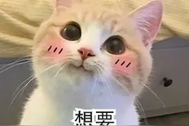 20-45岁的会计（金税盘、税控盘）抄报税流程快来看！清晰易懂图片