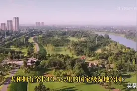 这两个“网红”你认识吗？他们在网上说阜阳图片