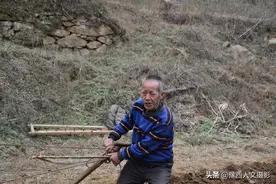山里7旬老哥俩牵着3万块下地，老二一鞭子下去，老大摔倒在地图片