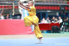 少幼儿武术教练资格证书的含金量发展趋势分析图片