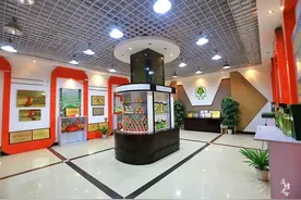 河北赞皇工业游，这里的核桃远近闻名，最老的核桃树有上百年图片