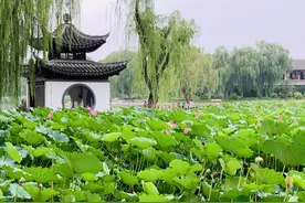 50岁女人哭诉：跳了半年交谊舞，我的家庭毁了，我现在真的好后悔图片