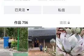 对佛祖的亵渎……图片