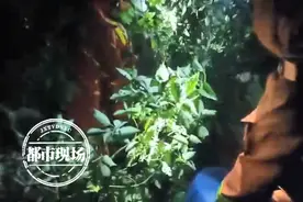 事发景德镇！12米长半挂大货车深夜撞上山体，化学原料散落一地图片