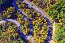 国庆长假自驾赏秋，还得首选宁夏这些最美公路！图片