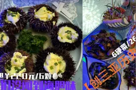 这事大了！海胆事件当事人坚决维权，商家盼反转：95%会起诉他图片