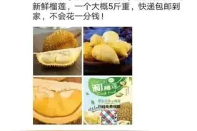 为了一个榴莲，她花了20多万……图片