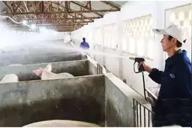 非瘟疫情影响下，猪场消毒的十大误区，你注意到了吗图片