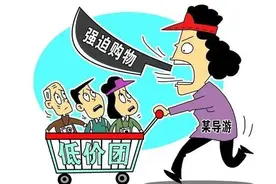 低价旅游团为啥屡禁不止，到底怎么回事！图片