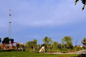 山东利津4个自驾游小众景点攻略推荐图片