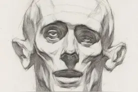 画好素描头骨图片
