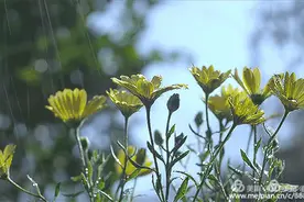 关关难过，关关过图片